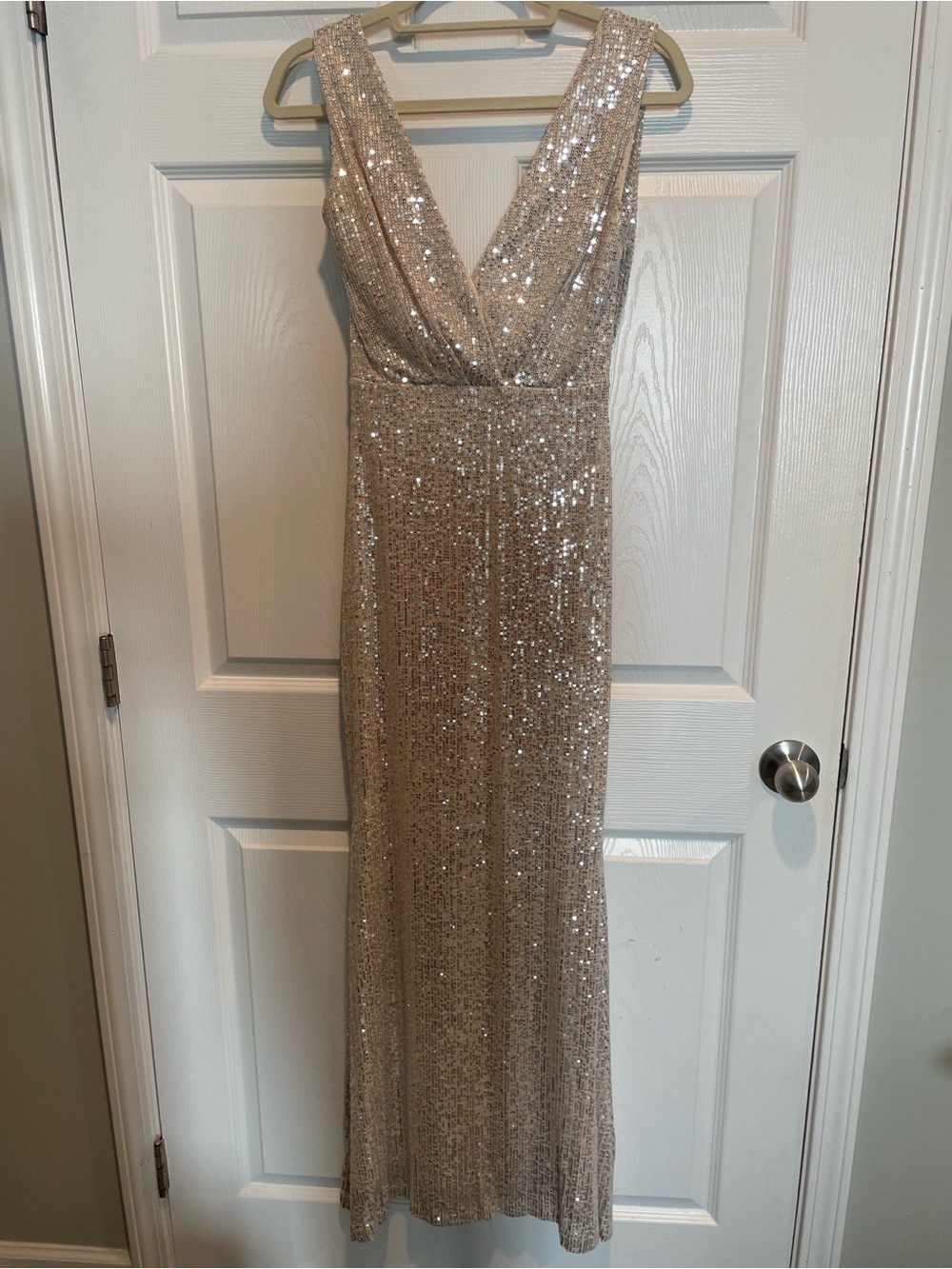 Champagne Sequin Open Back Gown